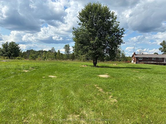 3rd image of 164 Jackson Rd