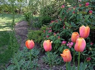 10 Mitchell Pond Rd, Windham, NH 03087