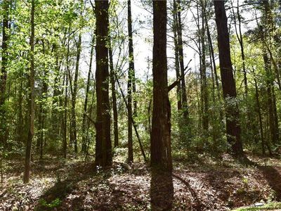 0 Bobby Jones St, Abita Springs, LA, 70420