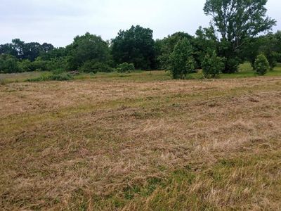 125 Mineral Rd, Gillham, AR, 71841