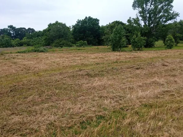 125 Mineral Rd, Gillham, AR 71841