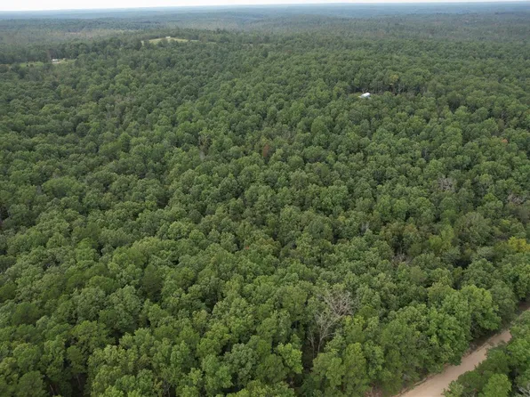 0 County Road 421, Birch Tree, MO 65438