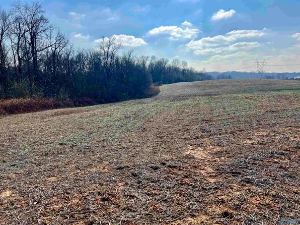 1 Swords Rd, Albertville, AL 35951