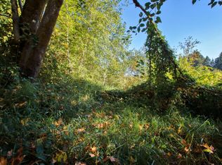 216 Jones Rd, Pe Ell, WA 98572