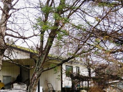 4690 Sabrina Rd, Homer, AK, 99603
