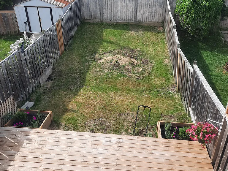 59 Courtney Cres — Photo 24