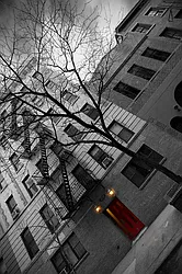 25 Cornelia Street in West Village