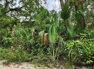 13046 E Shawnee Trl, Inverness, FL 34450