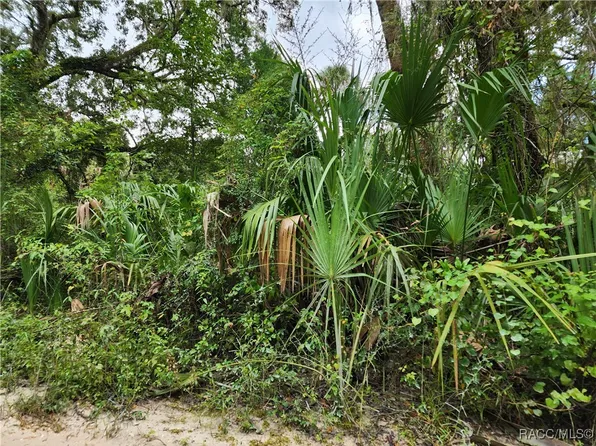 13046 E Shawnee Trl, Inverness, FL 34450