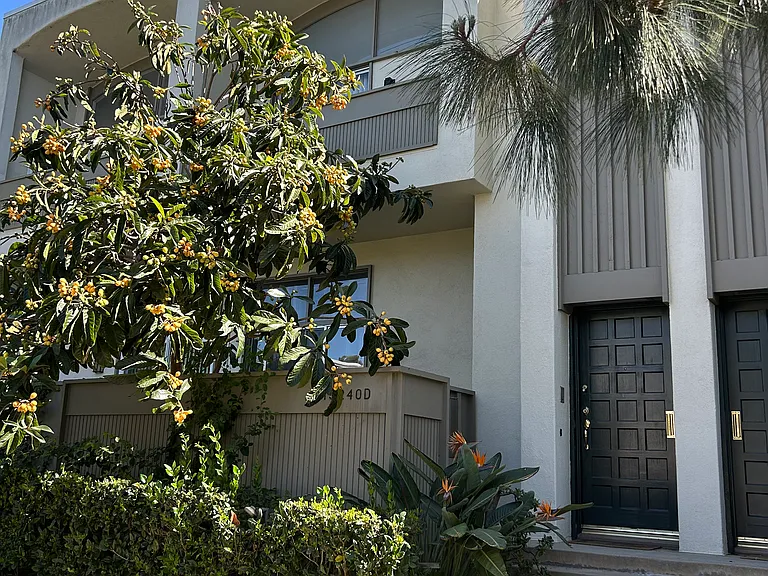 13240 Fiji Way #D — Photo 1