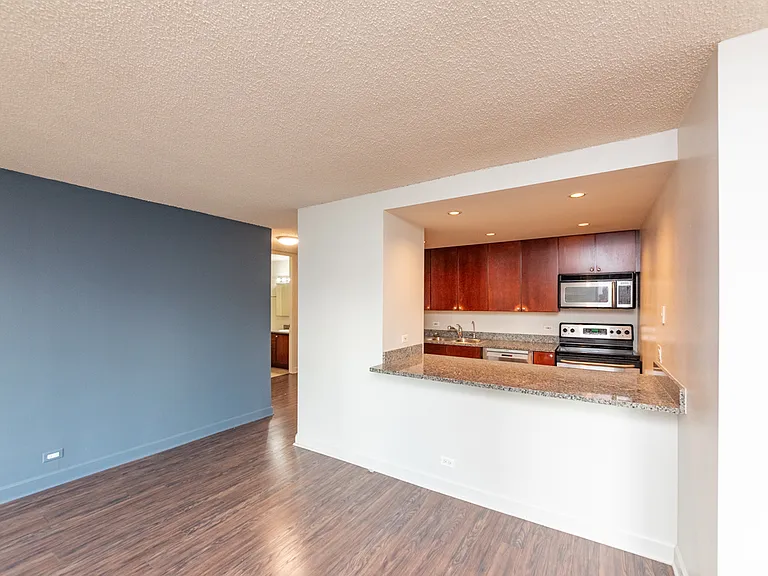30 E Huron St #904 — Photo 4