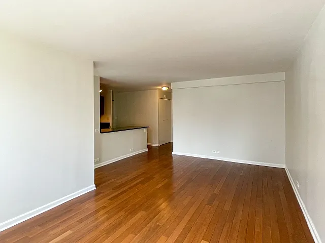 222 E Pearson St #1206 — Photo 3