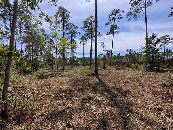 4th image of 0 McDaniels Fishcamp Rd