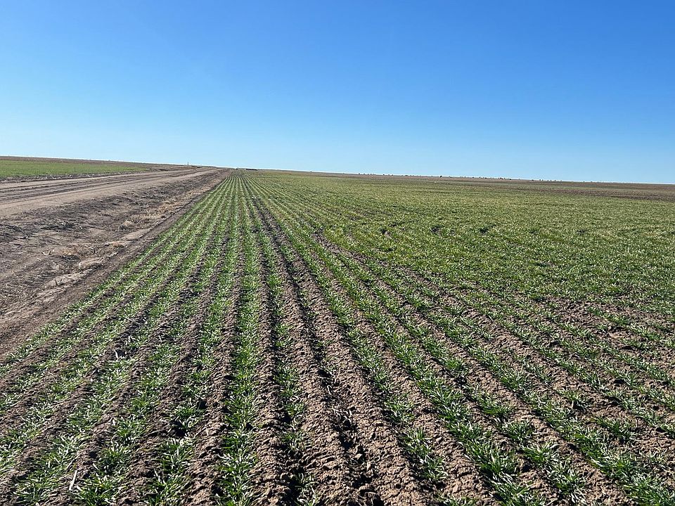 18 W South St, Leoti, KS 67861 Zillow