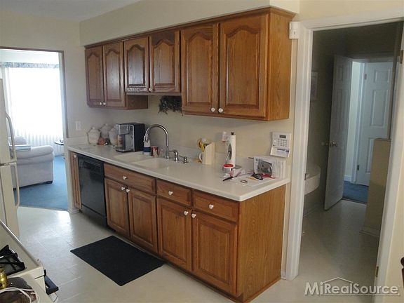 3rd image of 39843 Spitz Dr