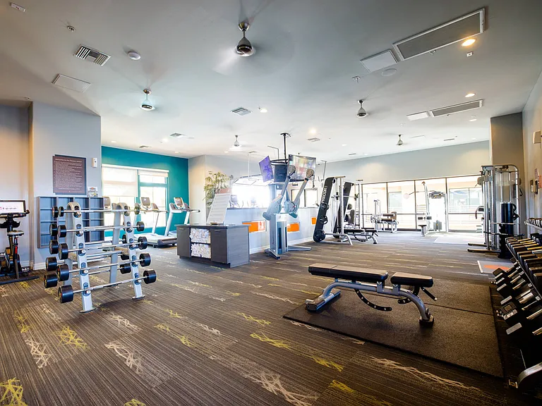 LivFit