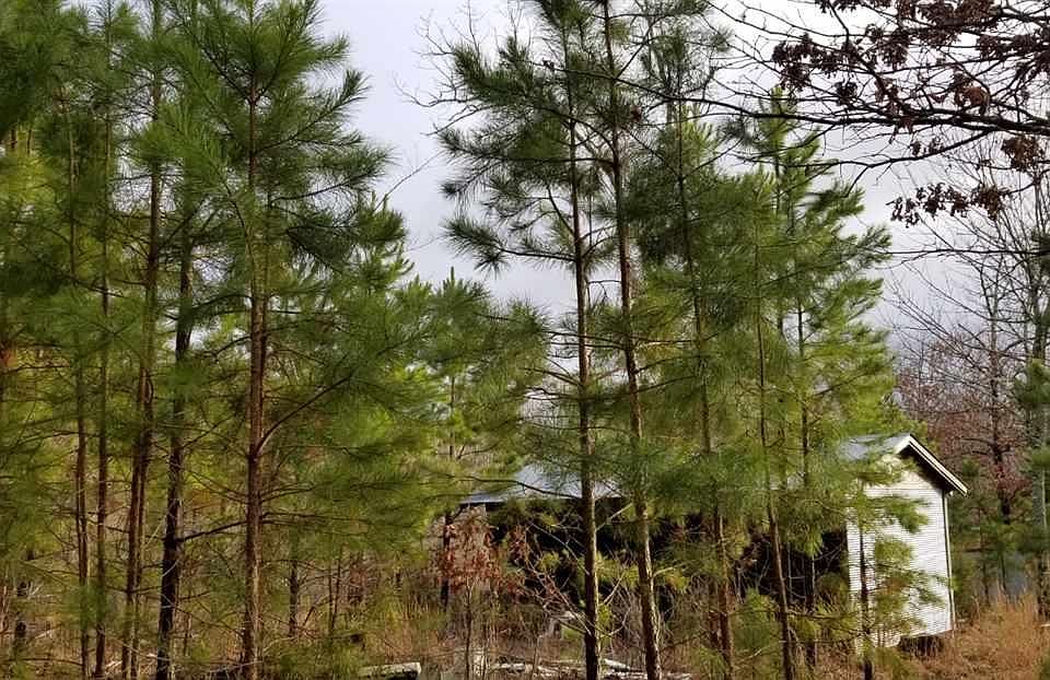 1st image of 162 Polk Road 721
