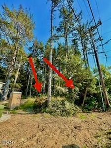 Tl 1210 Sandlake Rd, Cloverdale, OR, 97112
