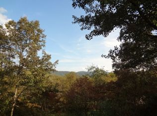 294 Hollon Cv, Waynesville, NC 28786