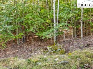 132 Locust Ridge Rd, Banner Elk, NC 28604