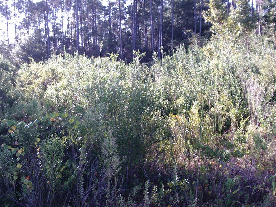 2nd image of 0 Hwy 67