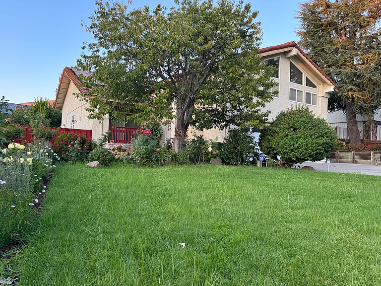 front yard