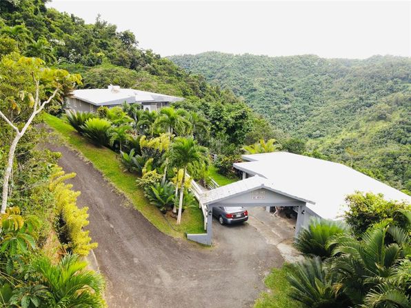 State Highway 715, Cayey, PR 00736