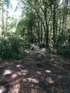 Singleton St, Marshall, TX, 75672