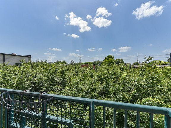 Sunshine and trees - what more could you want!