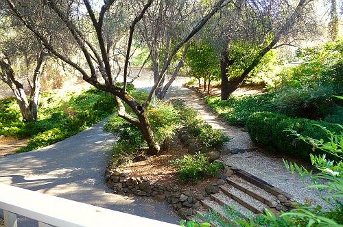 2nd image of 14238 Torrey Pines Dr