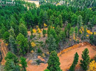 422 Spring Valley Dr, Divide, CO 80814