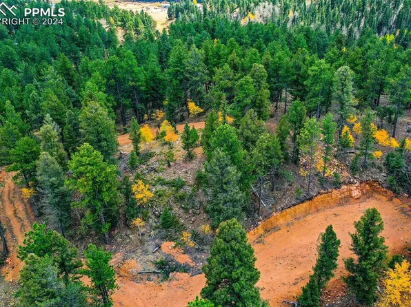 422 Spring Valley Dr, Divide, CO 80814