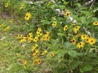 299 Dover Rd, Charleston, ME 04422