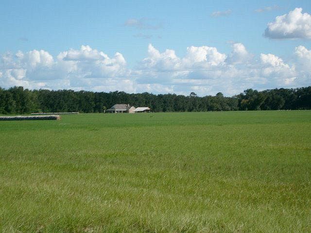 1st image of Lot 5 SW County Road 344