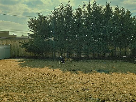 Oversize Fully Fenced Yard