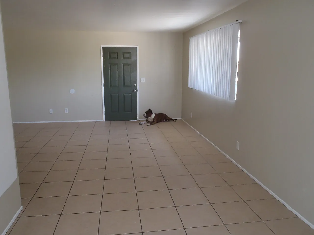 2 bed, 950 sqft, $1,825 — Photo 2