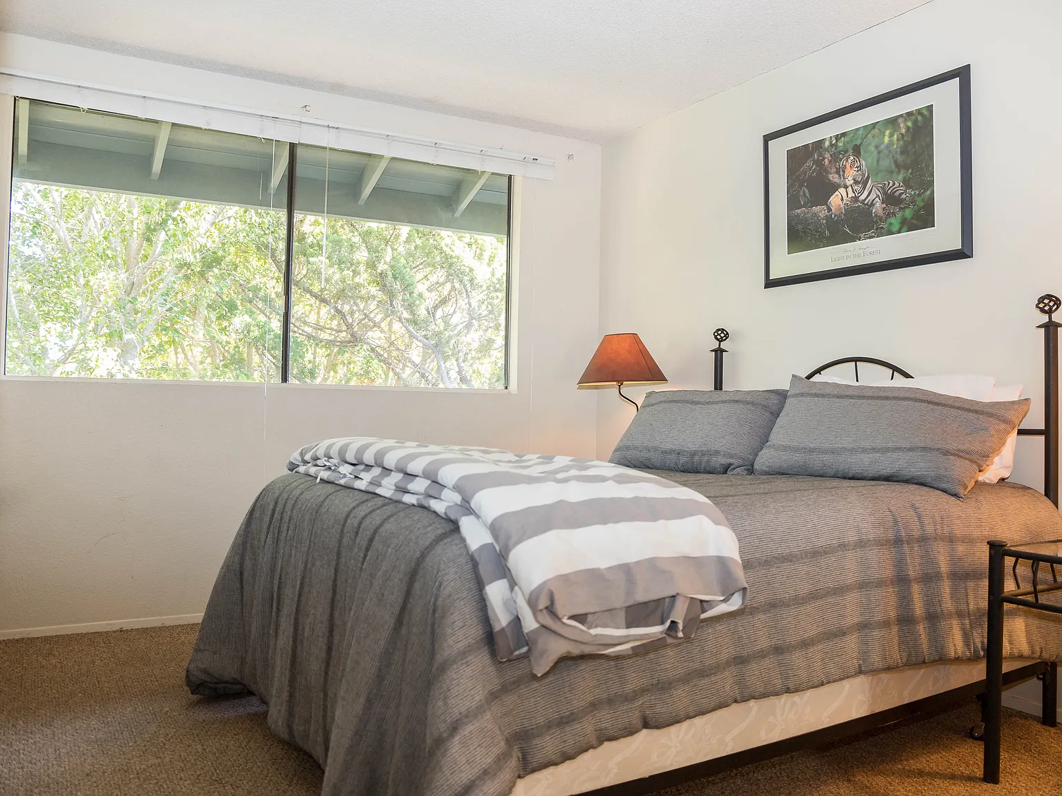 3 bed, 2.5 bath, 1500 sqft, $5,945 — Photo 4