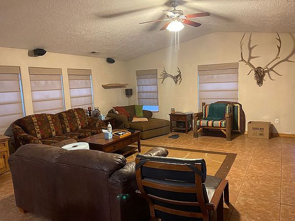 Living Room vaulted ceilings
