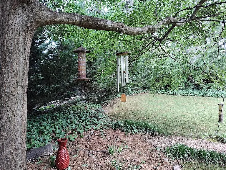 53 Durham St — Photo 18