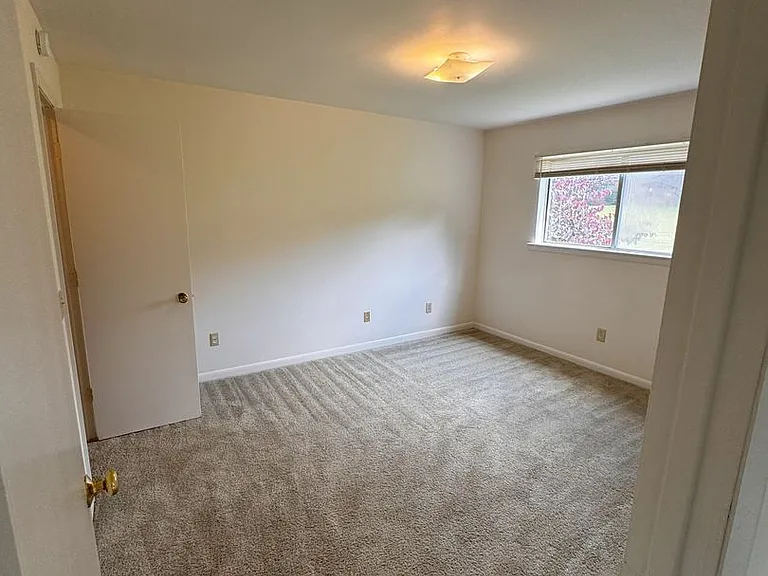 301 Piedmont St — Photo 17