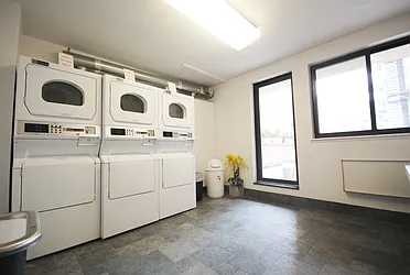 Rented by Bold New York