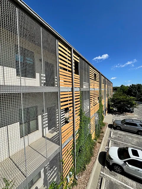 Little Emma Apartments — Photo 2