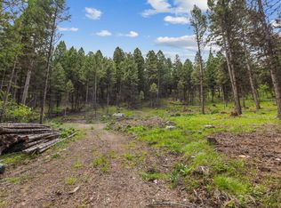 496 Stagecoach Dr, Seeley Lake, MT 59868