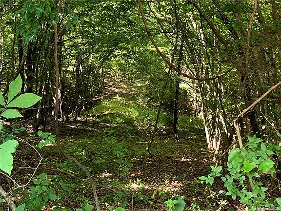 2nd image of 0 Highway 55 Hwy W Lot C