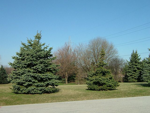 1st image of 12900 Nordic Ln
