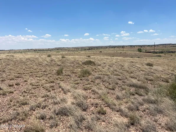 6 County Road 6031, Saint Johns, AZ 85936