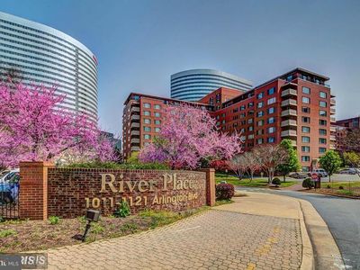 1111 Arlington Blvd APT 341, Arlington, VA, 22209