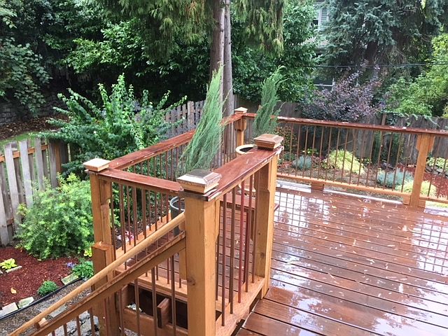 Spacious yard and deck