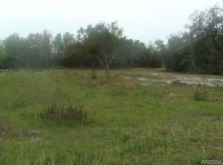 4698 E Spruce Dr, Dunnellon, FL 34434