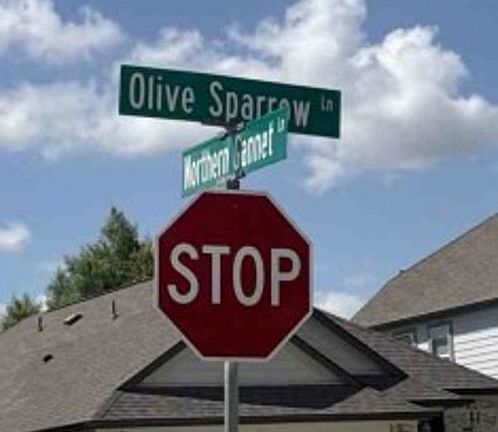 Exterior Address Verification